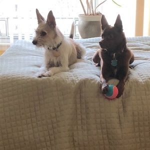 Meet your Posher, Nella